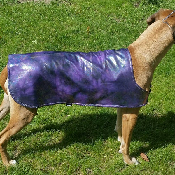 Cool Coats *Perfect for dog shows and events*