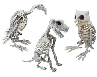 Animal Skeleton - Etsy UK Animal Skeleton - Etsy UK