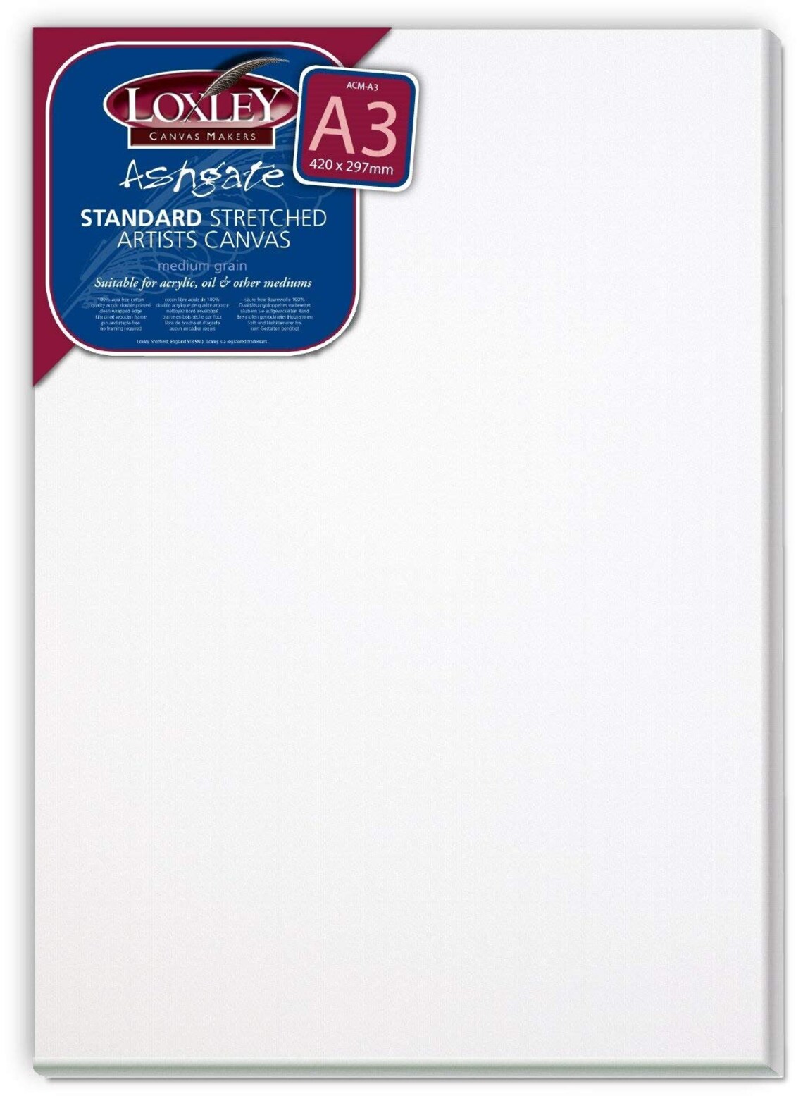 3 X LARGE A1 SZE LOXLEY BLANK CANVAS PRMED OL & ACRYLC ARTST - View #4