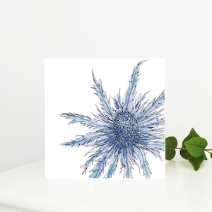 Carte de voeux aquarelle Sea Holly pour la fête des mères, des anniversaires, des anniversaires, des remerciements ou un mariage, vierge à l'intérieur.