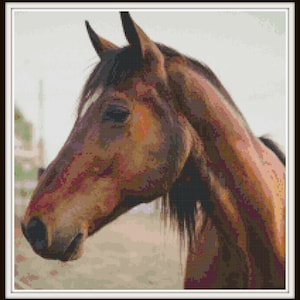 Cross Stitch Horse - PDF Download, Instant Access