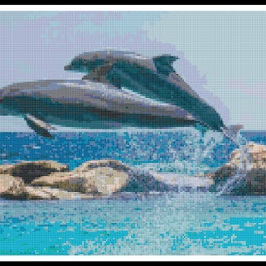 Dolphin Cross Stitch Pattern - Ocean Cross Stitch - PDF Download - Etsy ...