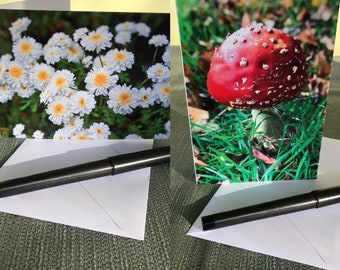 Flower and Toadstool photo cards, Daisy, Flower Card, Blank Cards, Greeting Cards, Birthday Cards, Nature Cards, Notelets,