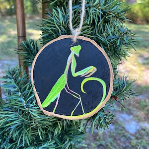 Preying Mantis ornament hand painted wood slice, bug art, insect art, bug gift, insect gift, bug decor, gift for her, entomology