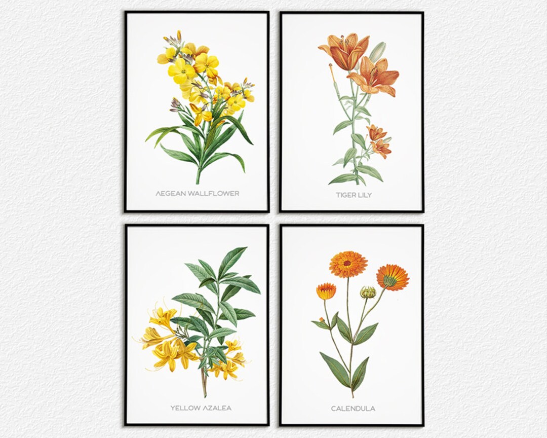 Colorful Botanical Art Set of 4 Printable Wall Art Decor Etsy