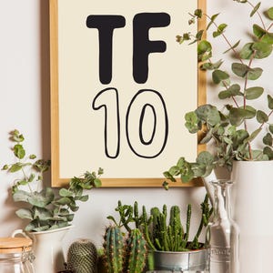 Pode incluir: Uma impress&atilde;o emoldurada com o texto "TF 10" em letras pretas sobre um fundo creme. A impress&atilde;o &eacute; cercada por uma moldura de madeira clara e &eacute; exibida em uma prateleira com v&aacute;rias plantas e uma c&acirc;mera.