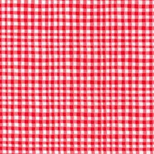 May include: Red and white checkered fabric with a gingham pattern.