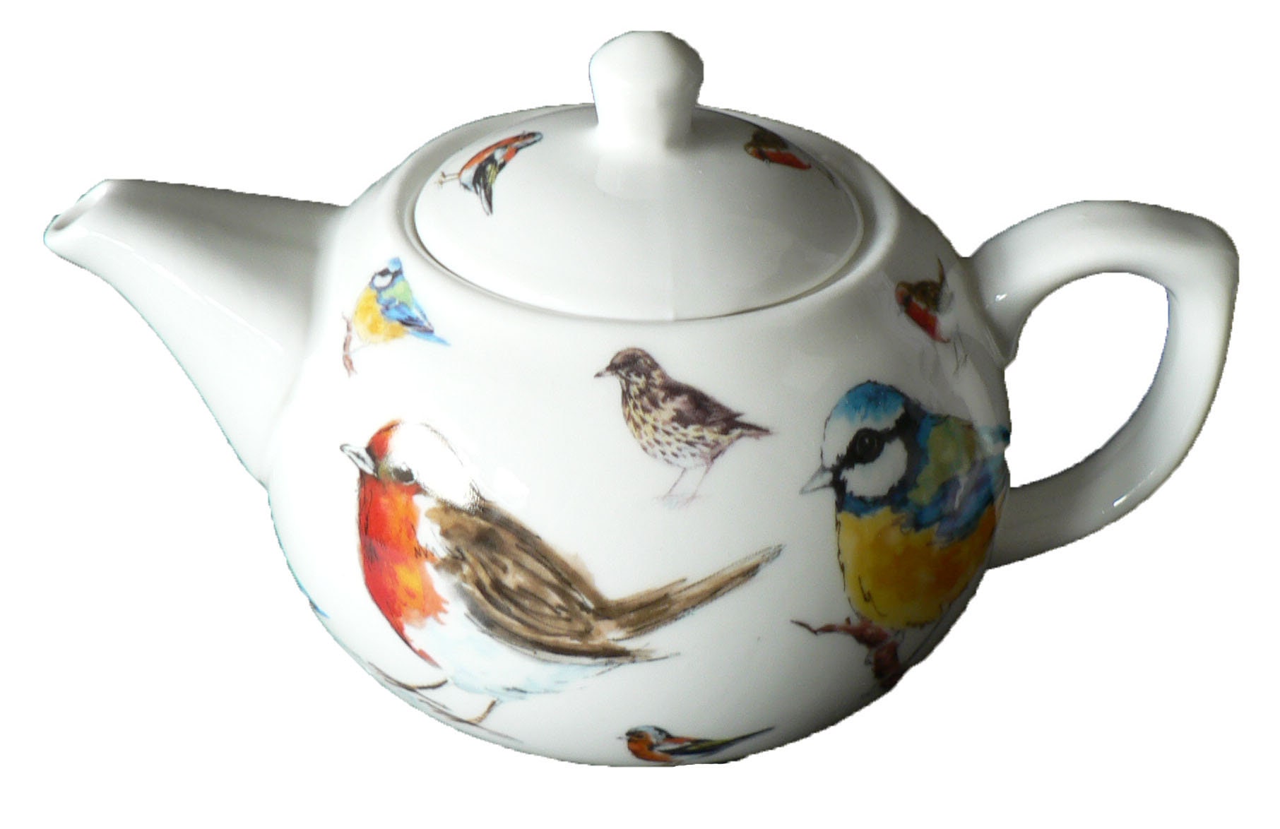 Garden Birds Teapot 2 Cup or 6 Cup Teapot Decorated Allover Etsy UK