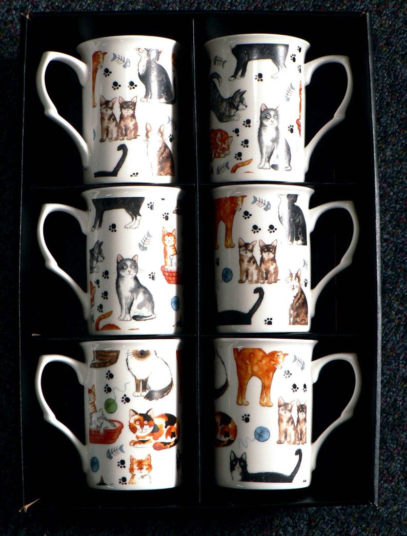 Cat Bone China Mugs Set of 6 Gift Boxed 10oz Mugs Different Cats All