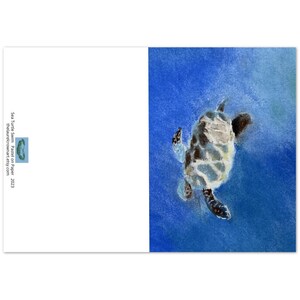 Sea Schildkröte Schwimmen Packung mit 10 Grußkarten und Umschlägen