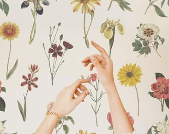 Floral Peel and Stick Wallpaper, Vintage Botanical Wall Decor