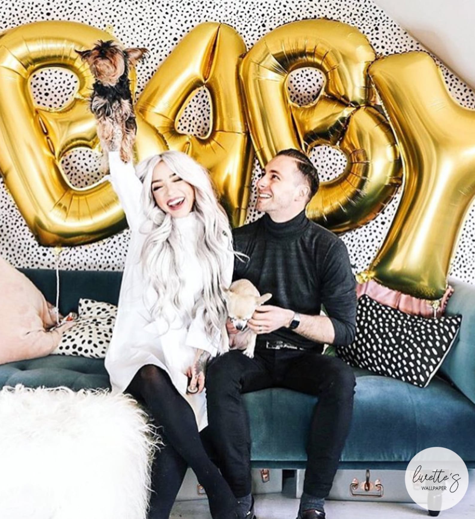 Dalmatian Removable Wallpaper Nursery Bedroom Animal Print Etsy