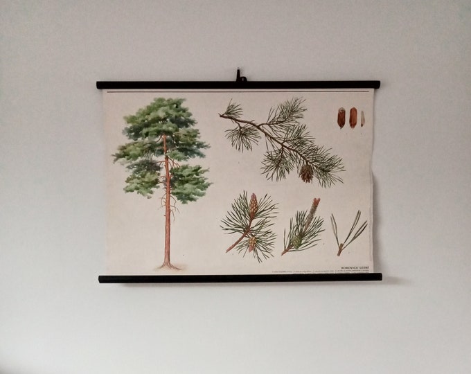 1980 - Pull Down Chart - School Chart - Wall Chart - Wall Hanging ...
