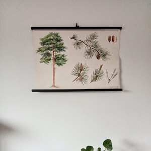1980 - Pull Down Chart - School chart - Wall Chart  - Wall Hanging - Antique on Linen - Vintage Pull Down - European Antiquities