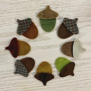 May include: A collection of felt acorn shapes in various colors, including brown, green, and tan. Some acorns have patterned caps. The acorns are arranged in a circular pattern on a light wood-grain surface.
