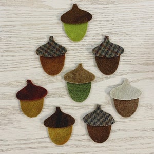 May include: A collection of felt acorn shapes in various colors. The acorn caps are brown, green, and patterned, while the bodies are shades of brown, green, and tan. The acorns are arranged on a light-colored wooden surface.