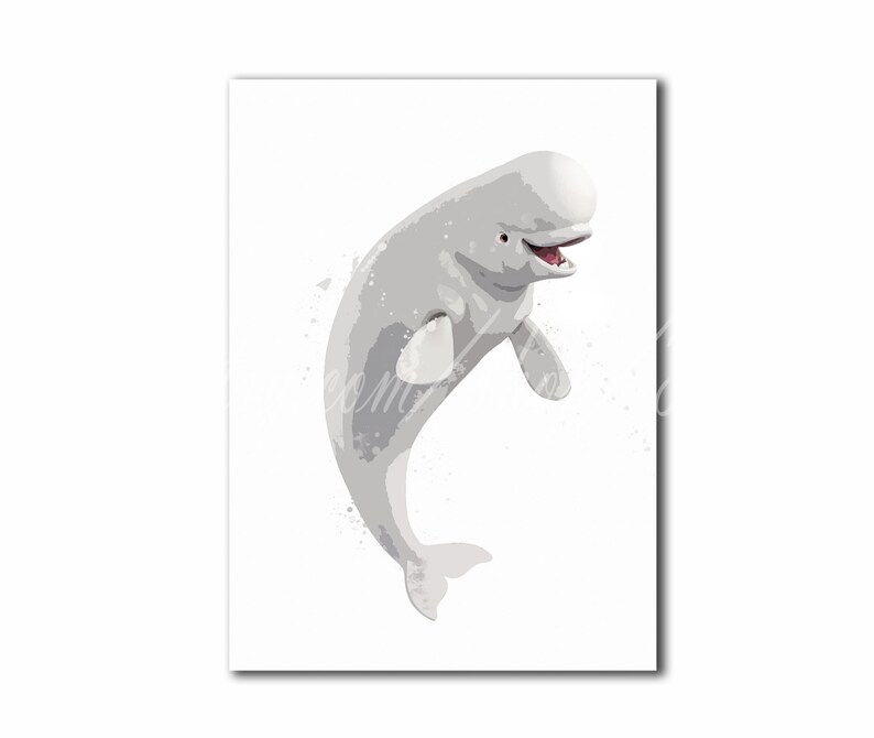 Beluga Whale Poster Beluga Whale Print Bebe Gift Wall Art Etsy Canada