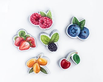 Berries Magnet Set, Berry Lovers, Berry Fruit Magnets, Refrigerator Magnet Set, Fridge Magnet, Cute Magnet, Kitchen Magnet, Locker Magnet,