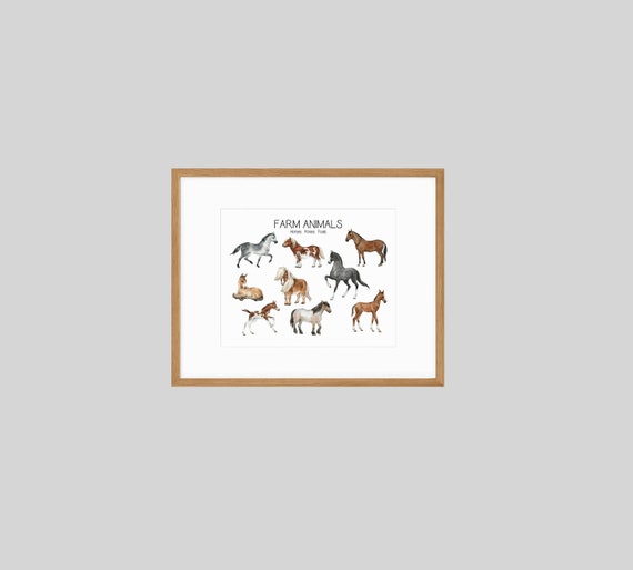 Horses Print Horse Printables Ponies Foals Nursery Kids - Etsy
