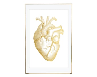 Heart Anatomy Print, Gold Anatomy Art, Anatomy Print, Anatomy Poster, Gold Foil Print, Anatomy Decor, Human Anatomy Art, Human Anatomy Print