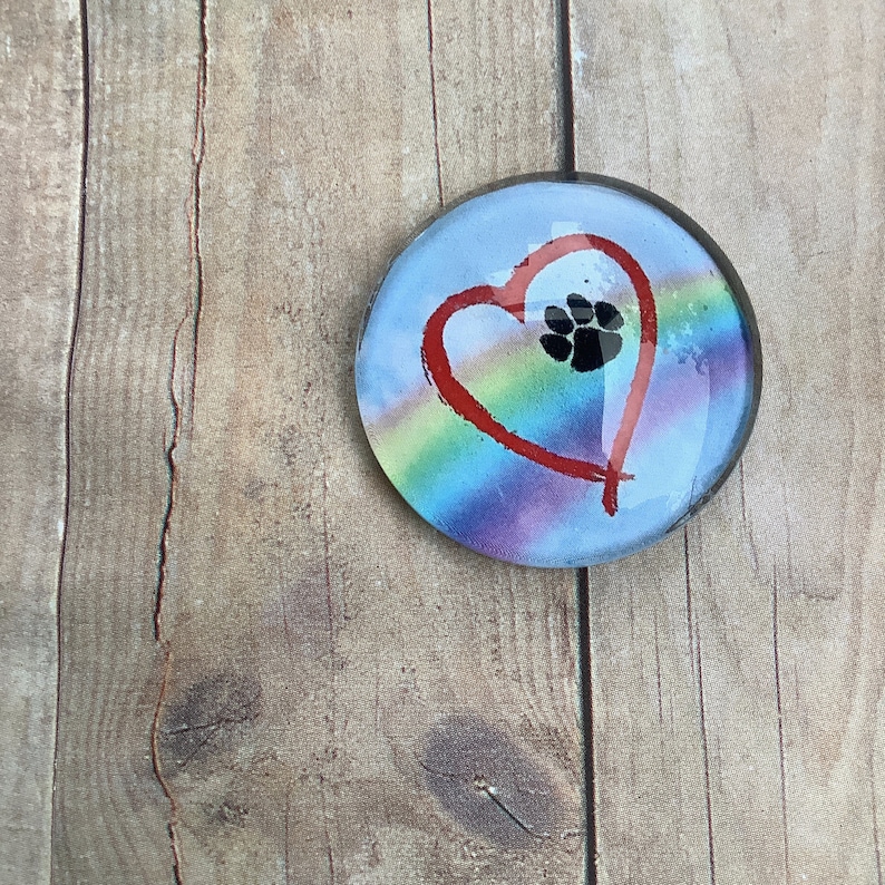 Pet Memorial Gift Dog Loss Gift Pet Lover Gift Dog Paw Necklace Dog Memorial Gift Rainbow Heart Necklace Glass Pendant Necklace
