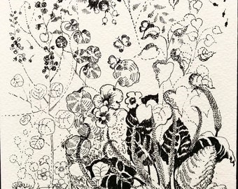 Original art/ wall art/ Allotment Drawing/ Botanical Drawing/ Black and White Art