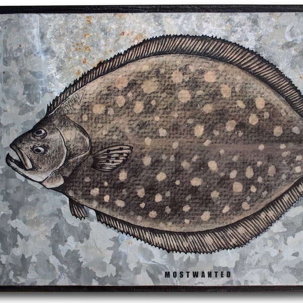 Flounder, Southern Flounder, Left-eyed Flounder, colored pencil drawing, image transfer on old barn tin, 10 x 6.5 inches