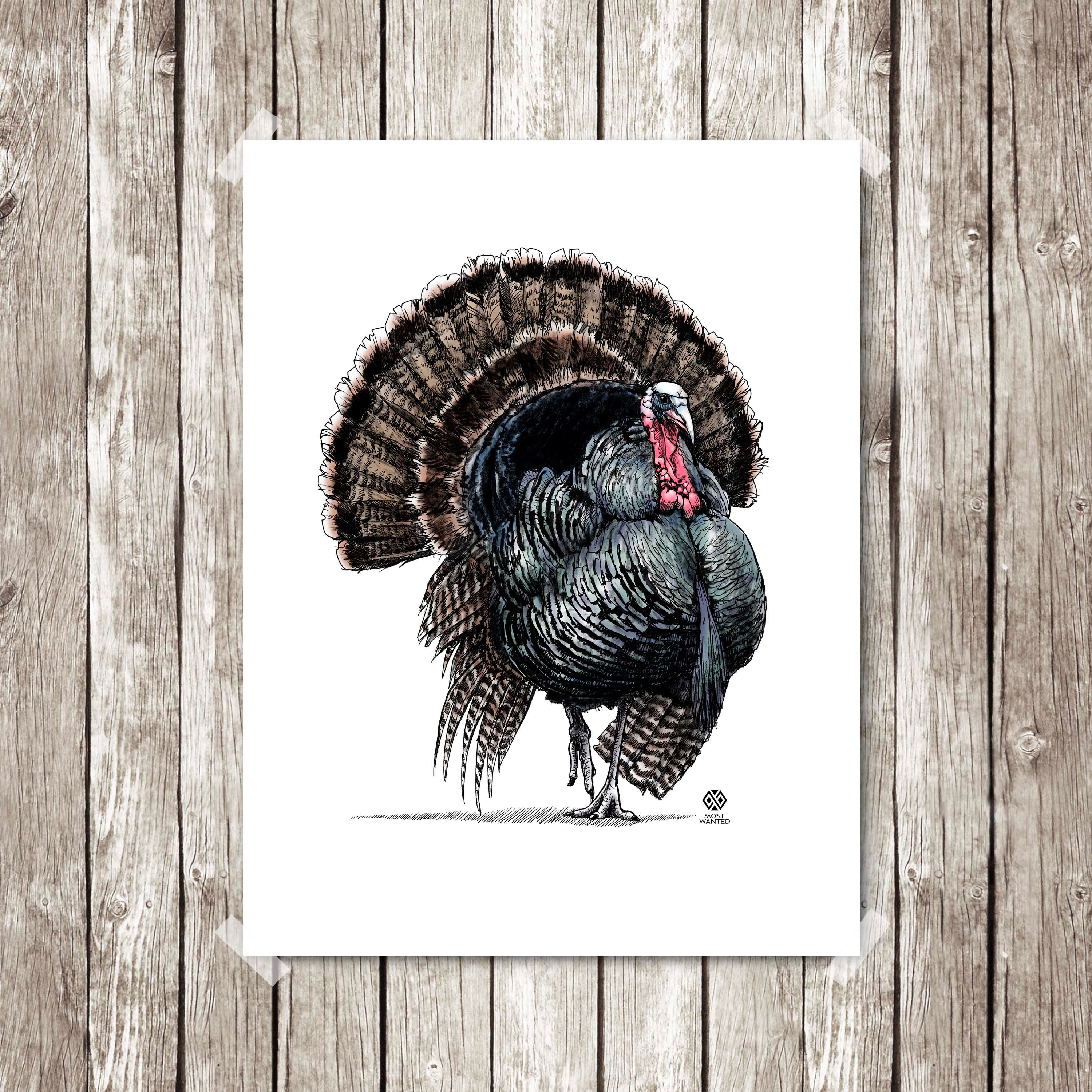 Poster, Turkey, colored drawing, art print, Giclée print, Thanksgiving, holiday decor Poster, Turkey, colored drawing, art print, Giclée print, Thanksgiving, holiday decor