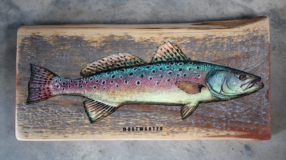 Speckled Trout, Colored Pencil Drawing, Image Transfer on Red Cedar Wood, 4  X 10 Inches, Rainbow Colored 