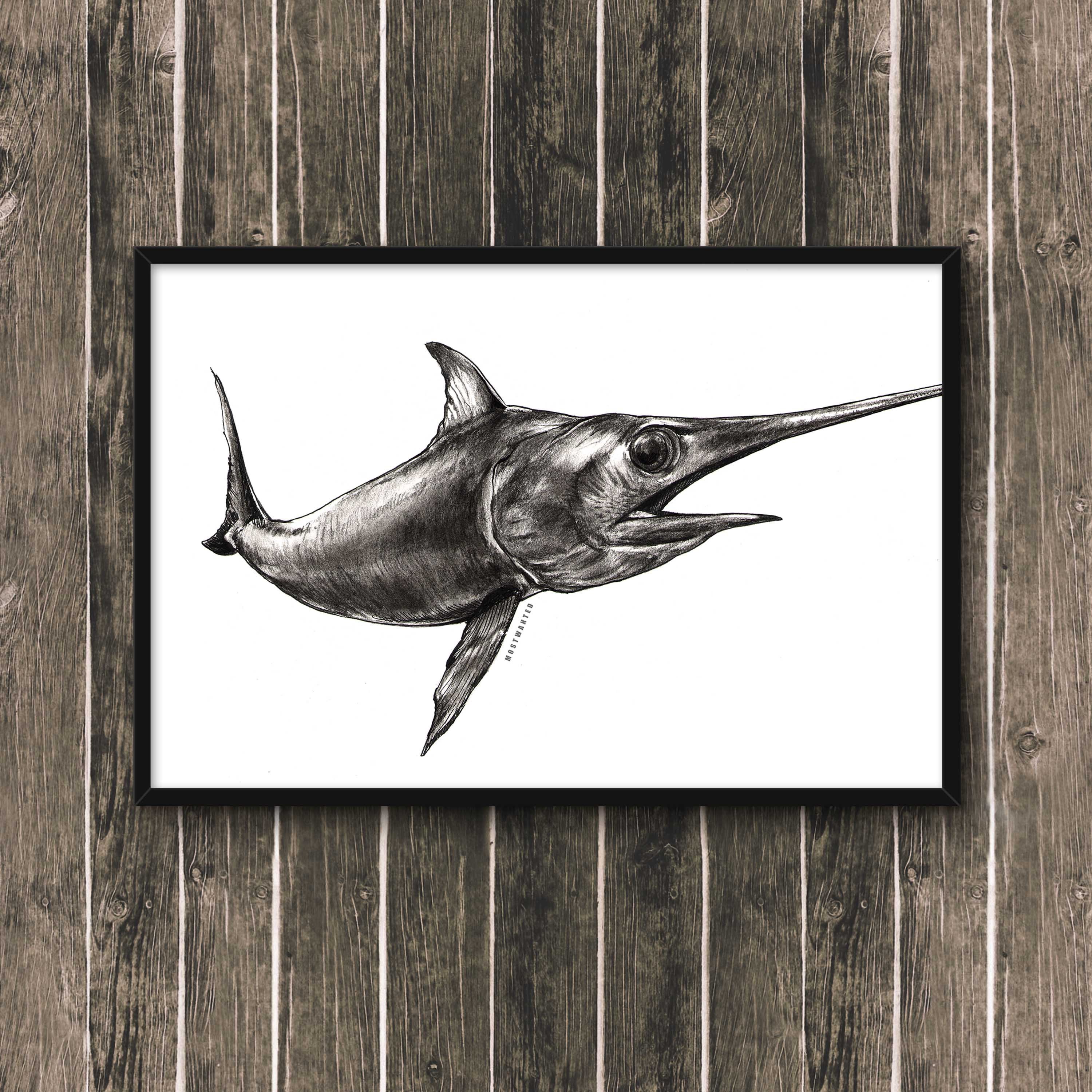 About swordfish picture