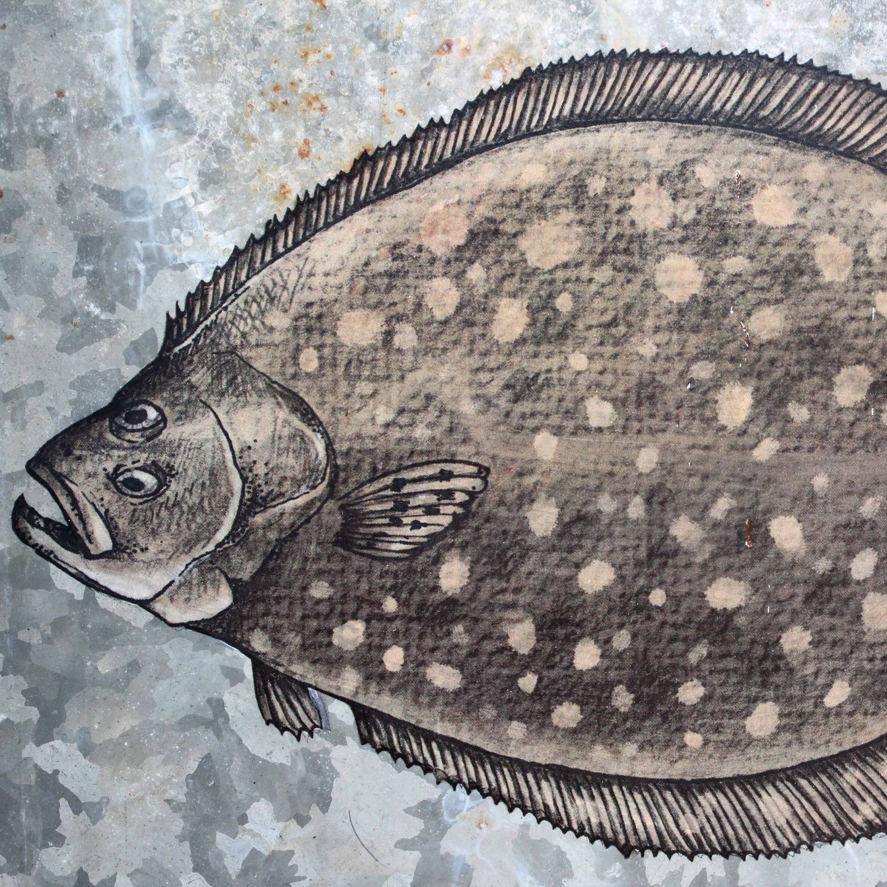Flounder, Southern Flounder, Lefteyed Flounder, colored pencil drawing, image transfer on old