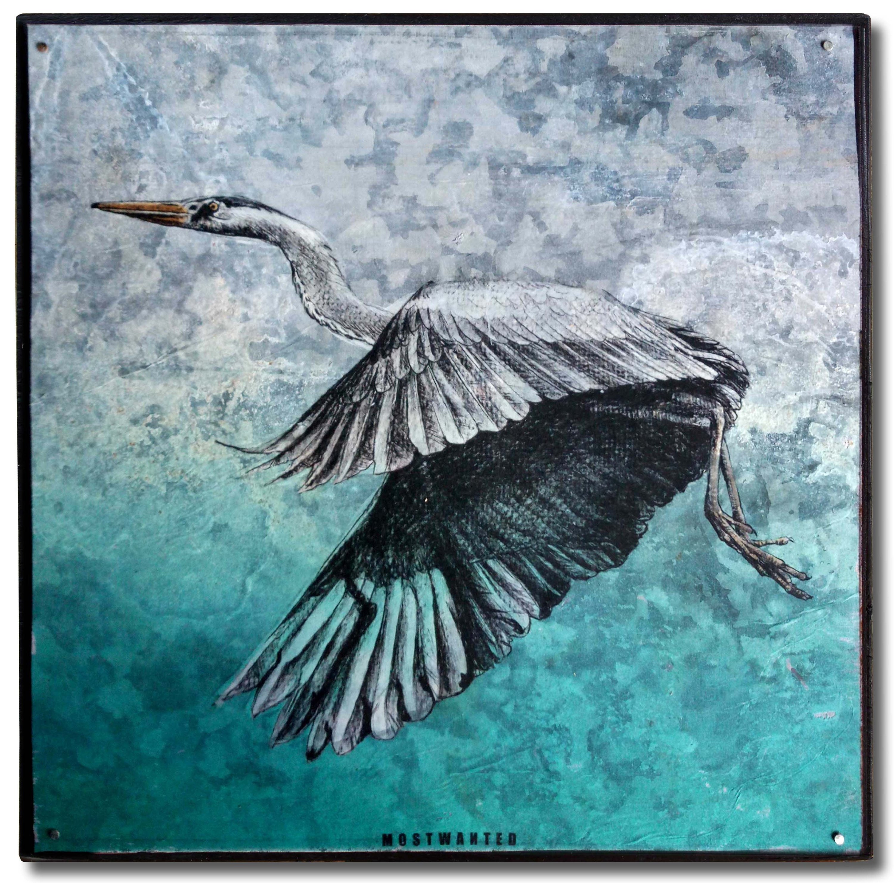 Heron Water Bird Colored Pencil Drawing Artwork Transfer On