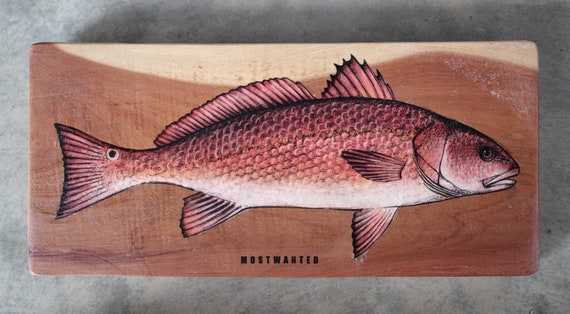 Redfish, Red Drum, Colored Pencil Drawing, Image Transfer on Red Cedar  Wood, 4.5 X 10 Inches, Red -  Australia