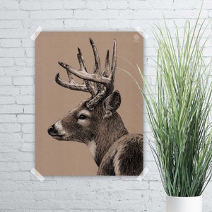 Póster, Cabeza de ciervo sobre papel marrón, dibujo a lápiz de colores, impresión artística, impresión Giclée