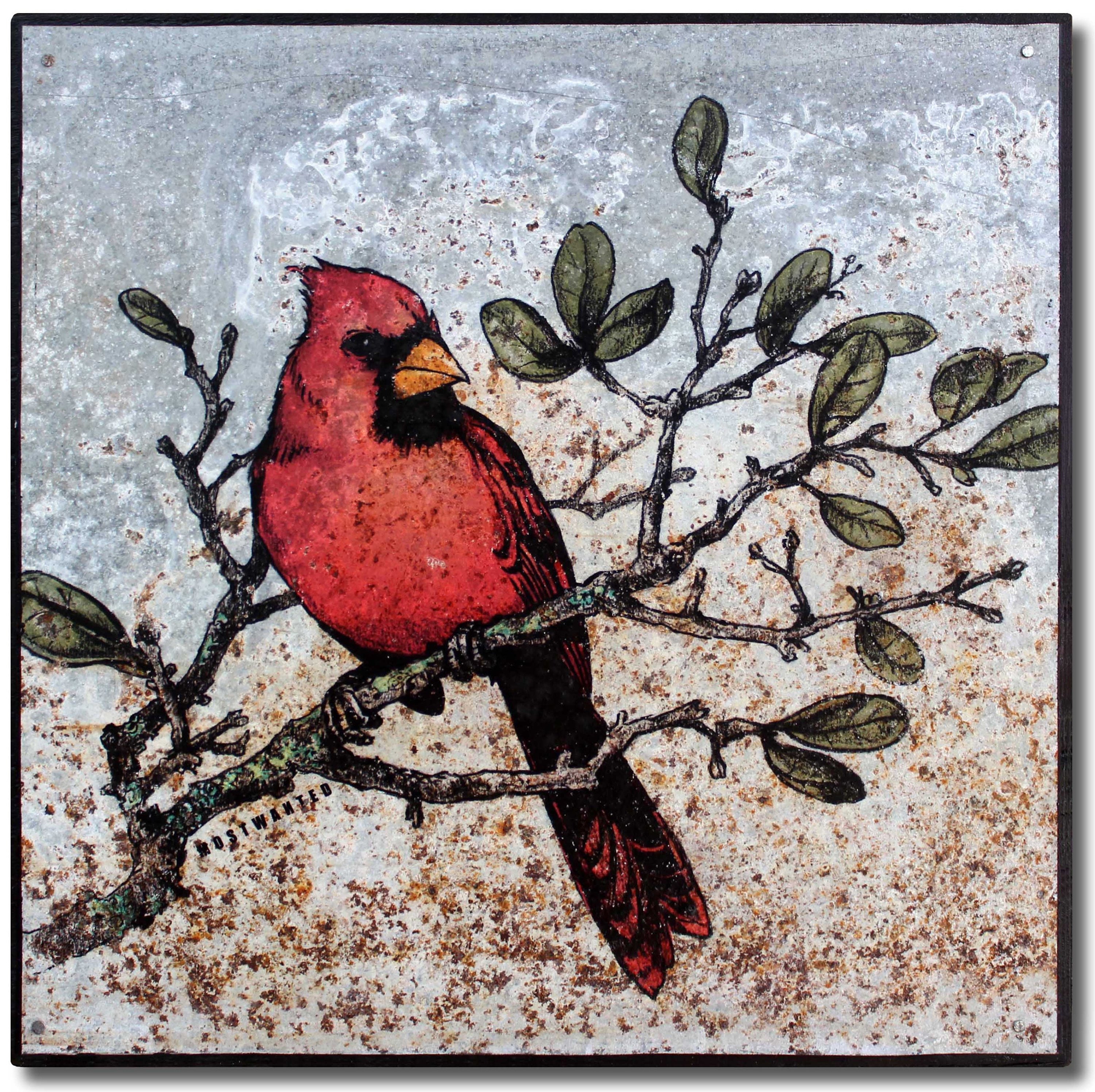 Cardinal Red Bird Colored Pencil Drawing Artwork Transfer On