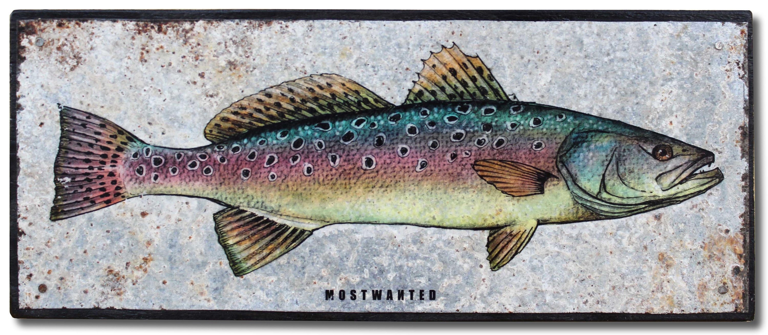 Speckled Trout Colored Pencil Drawing Transfer On Rusty Metal
