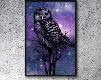 Affiche encadrée, Hibou avec ciel étoilé, galaxie, cosmique, univers, impression d’art