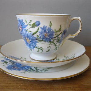 Vintage Queen Anne Fine Bone China Trio