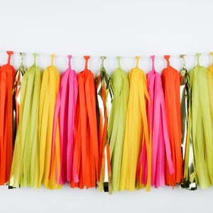 May include: A colorful tissue paper tassel garland with alternating colors of yellow, green, pink, and orange. The garland is strung on a white string and is perfect for adding a festive touch to any party or celebration.