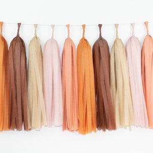 Cinnamon Tassel Garland - Groovy - Flower Child - Pumpkin Spice - Friendsgiving - Orange - Thanksgiving - Boho Rainbow - Little Pumpkin