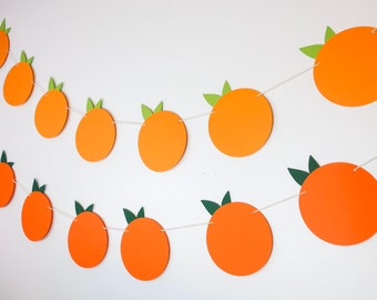 Cutie Citrus Banner – Little Cutie Baby Shower Decor – Hey Cutie Orange Garland – Clementine Party – Two Cuties Theme – Darling Cutie Party