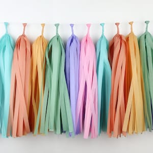Peut inclure: Une guirlande de pompons en papier de soie de couleur pastel, suspendue à une ficelle blanche. Les pompons sont de couleur lavande, bleu clair, pêche, jaune, vert, rose, orange et jaune clair.
