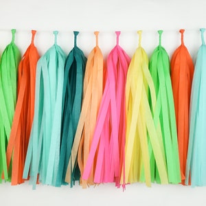 Tropical Fiesta Tissue Paper Tassel Garland - Final Fiesta - First Fiesta - Lets Fiesta - Bachelorette - Bright Colors - Luau - Flamingo