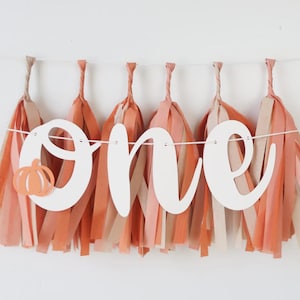 May include: A decorative banner featuring the word one in white script lettering with a small orange pumpkin cutout attached to the letter o. The banner is accented with multiple hanging tassels in shades of peach, coral, and light orange.