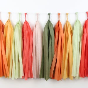 Locally Grown Tassel Garland – Baby Farmer’s Market Decor – Little Sprout Baby Shower – Fresh to the Farm Baby Sprinkle – Girl Birthday