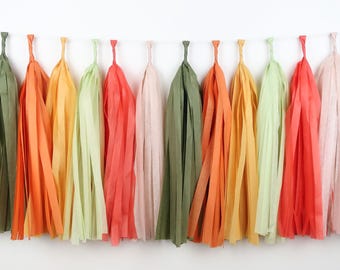 Locally Grown Tassel Garland – Baby Farmer’s Market Decor – Little Sprout Baby Shower – Fresh to the Farm Baby Sprinkle – Girl Birthday