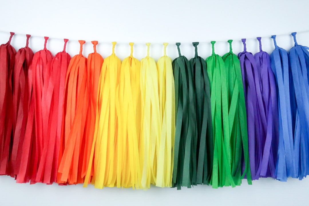 Rainbow Tassel Garland Balloon Tail Rainbow Party Tassel Etsy
