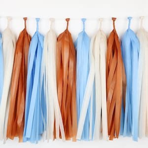 Saddle Up Tassel Garland - First Rodeo - Baby Boy - Western Theme - Wild West - Ranch - Southwest - Horses - Cowboy