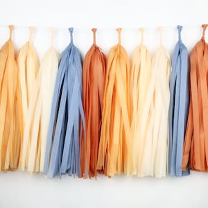 Mute Sun Blue Tissue Paper Tassel Garland - Retro Boho Birthday - Muted Sunshine Baby Shower- First trip around the sun - Here Comes the Son