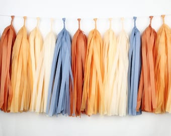 Mute Sun Blue Tissue Paper Tassel Garland - Retro Boho Birthday - Muted Sunshine Baby Shower- First trip around the sun - Here Comes the Son